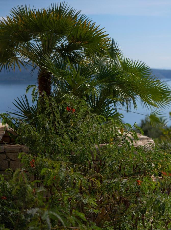 Bellina Villa Agnitsini ภายนอก รูปภาพ